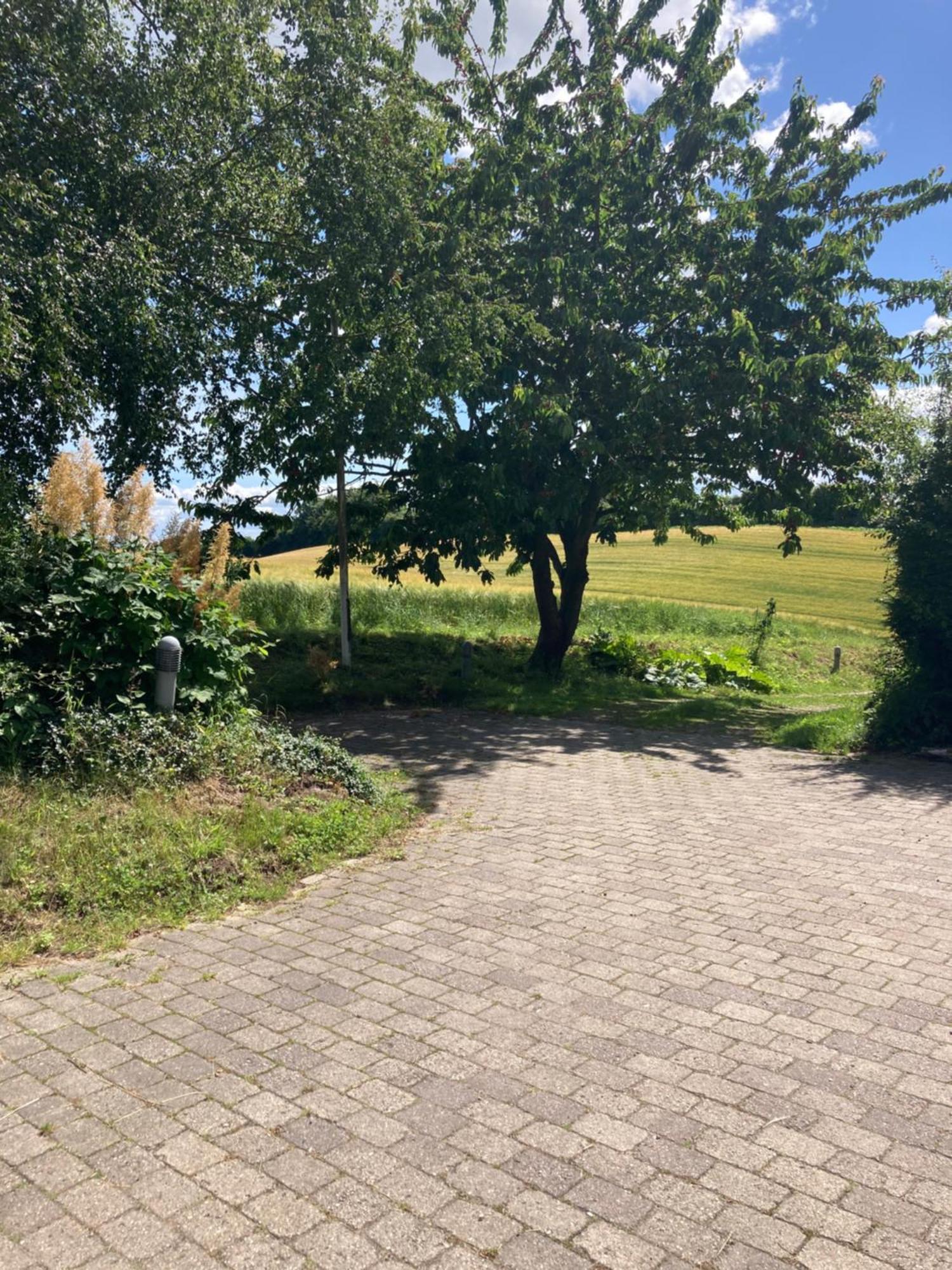 Skovlyset'S B&B Juelsminde  Exterior foto