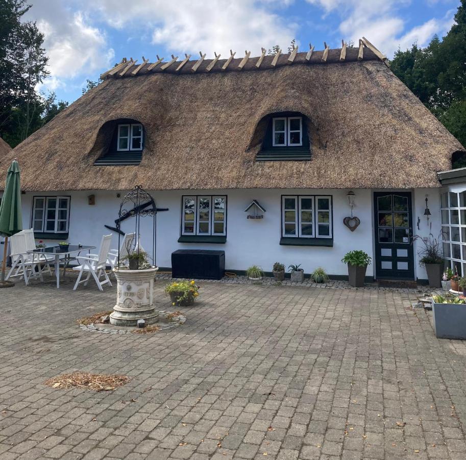Skovlyset'S B&B Juelsminde  Exterior foto